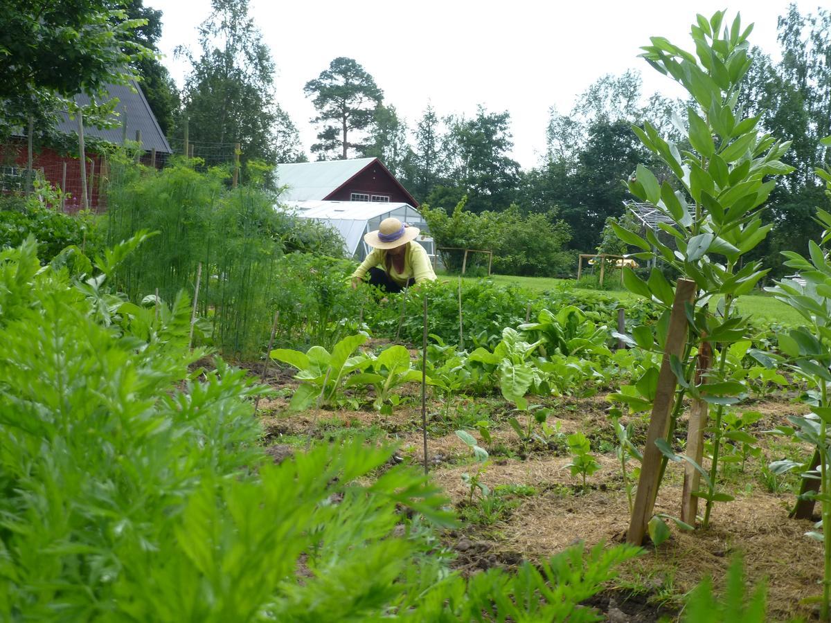 Groena Anaes Bed & Breakfast ostra Loa ภายนอก รูปภาพ