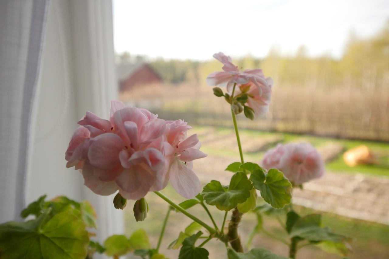 Groena Anaes Bed & Breakfast ostra Loa ภายนอก รูปภาพ